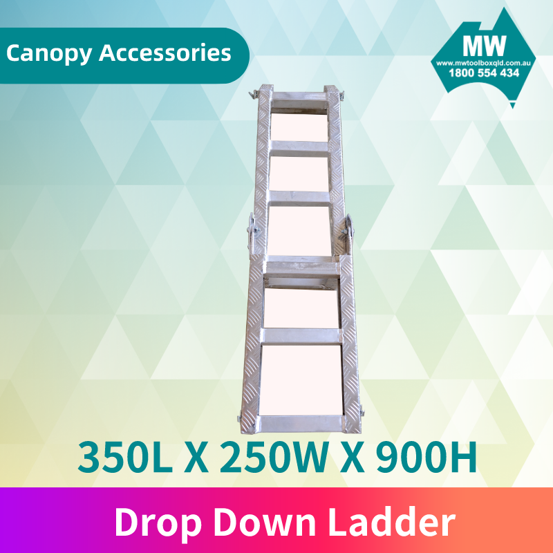 Drop Down Ladder