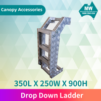 Drop Down Ladder